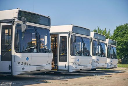 Eine Reihe weißer Busse, die nebeneinander auf einem Parkplatz parken.