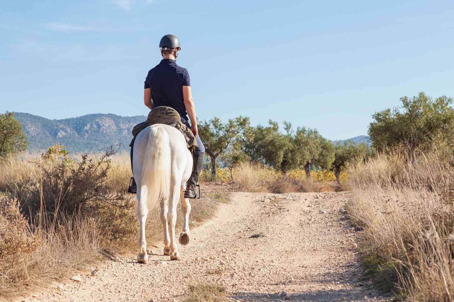 Una persona montando un caballo blanco por un sendero polvoriento en un paisaje desértico con montañas en la distancia.