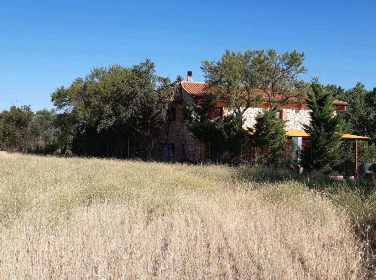 Campo seco cubierto de hierba con árboles y una casa parcialmente oculta tras ellos bajo un cielo azul claro.