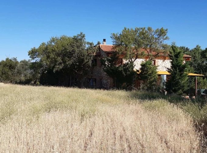 Campo de hierba con árboles y una casa parcialmente oculta bajo un cielo azul claro.