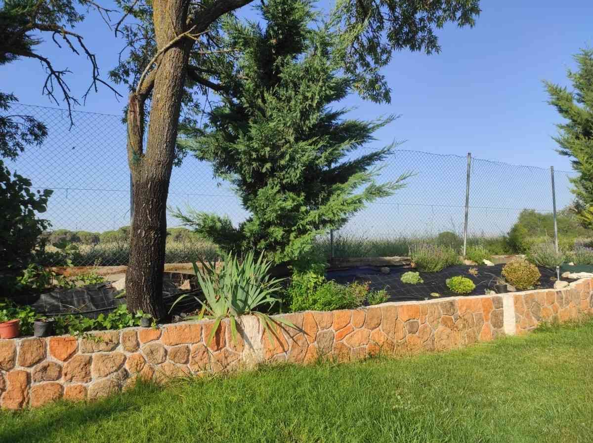 Jardín con muro de contención de piedra, césped verde, árboles y arbustos bajo un cielo azul despejado.