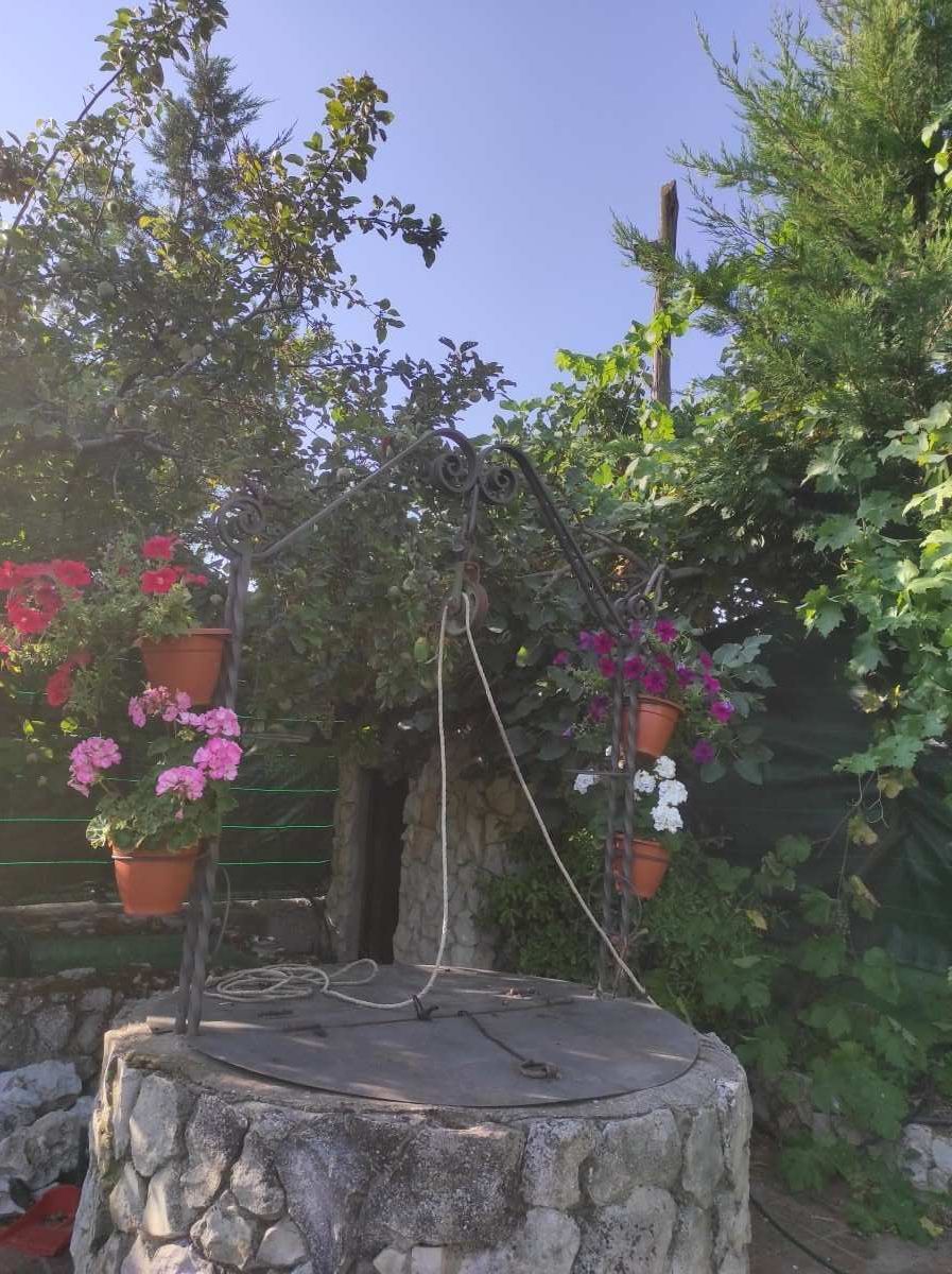 Pozo de piedra en un jardín exuberante con macetas colgantes y una rueda de madera en lo alto.