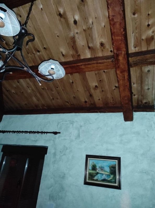 Habitación interior con techo revestido de madera, vigas a la vista, lámpara de techo y cuadro enmarcado.