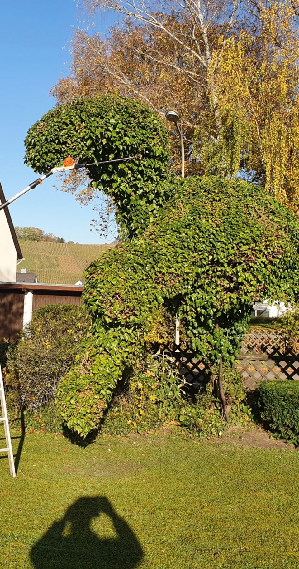 Kreativ geschnittener Baum