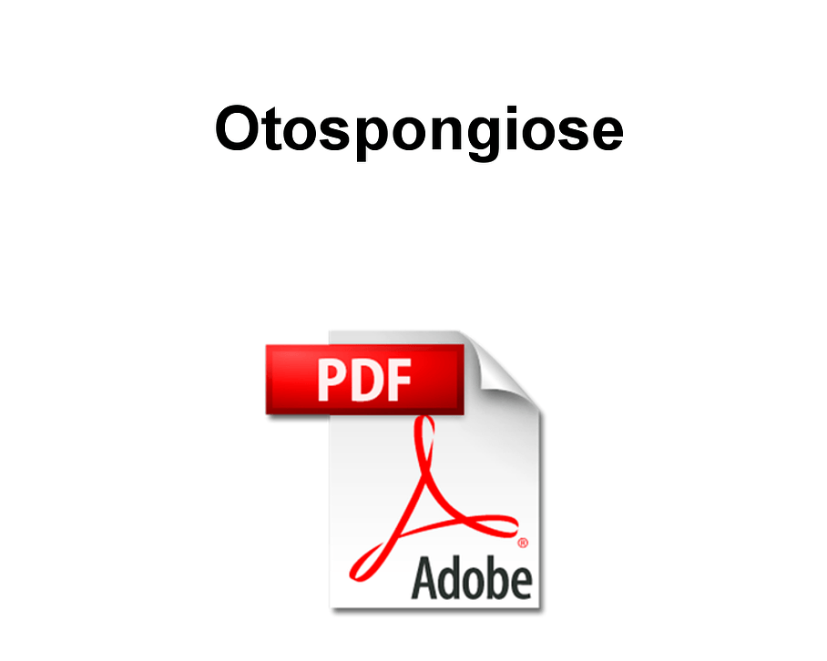 otospongiose