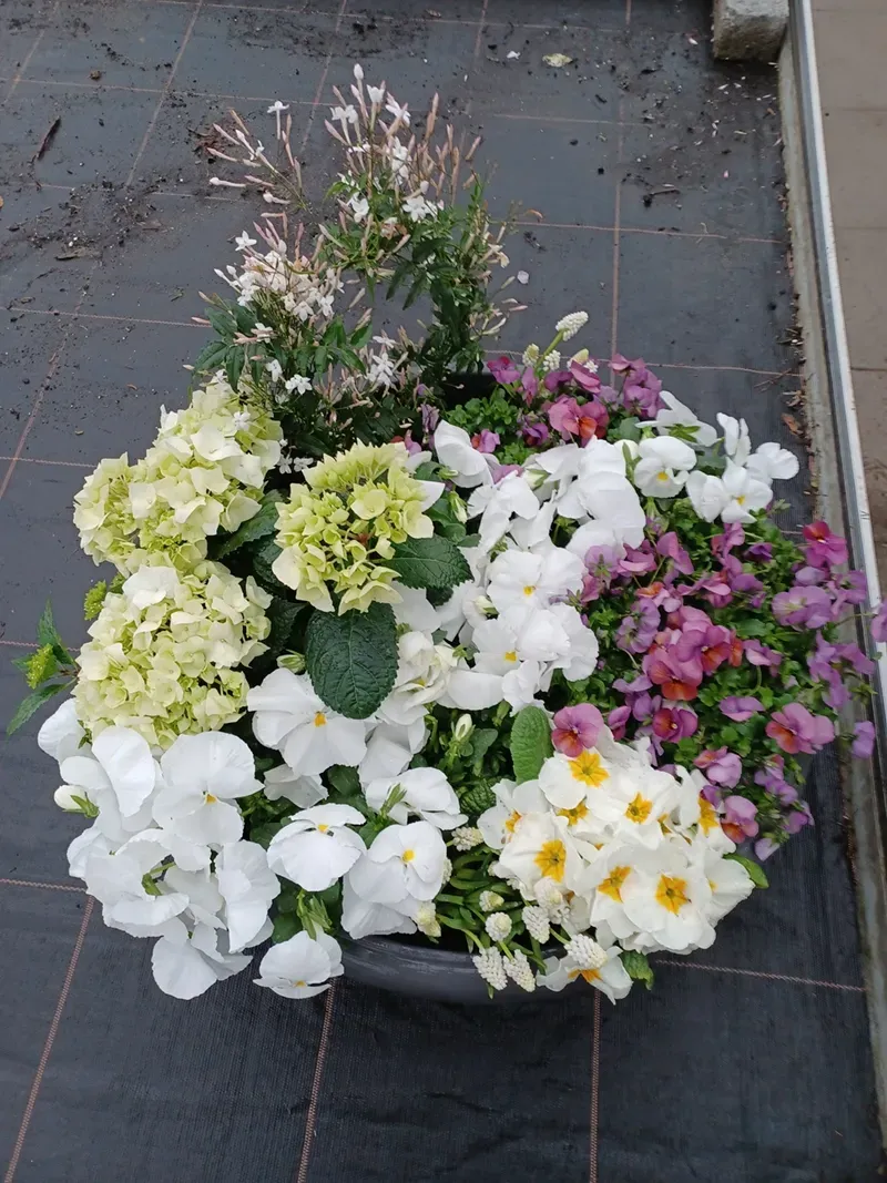 Bunter Blumenstrauß