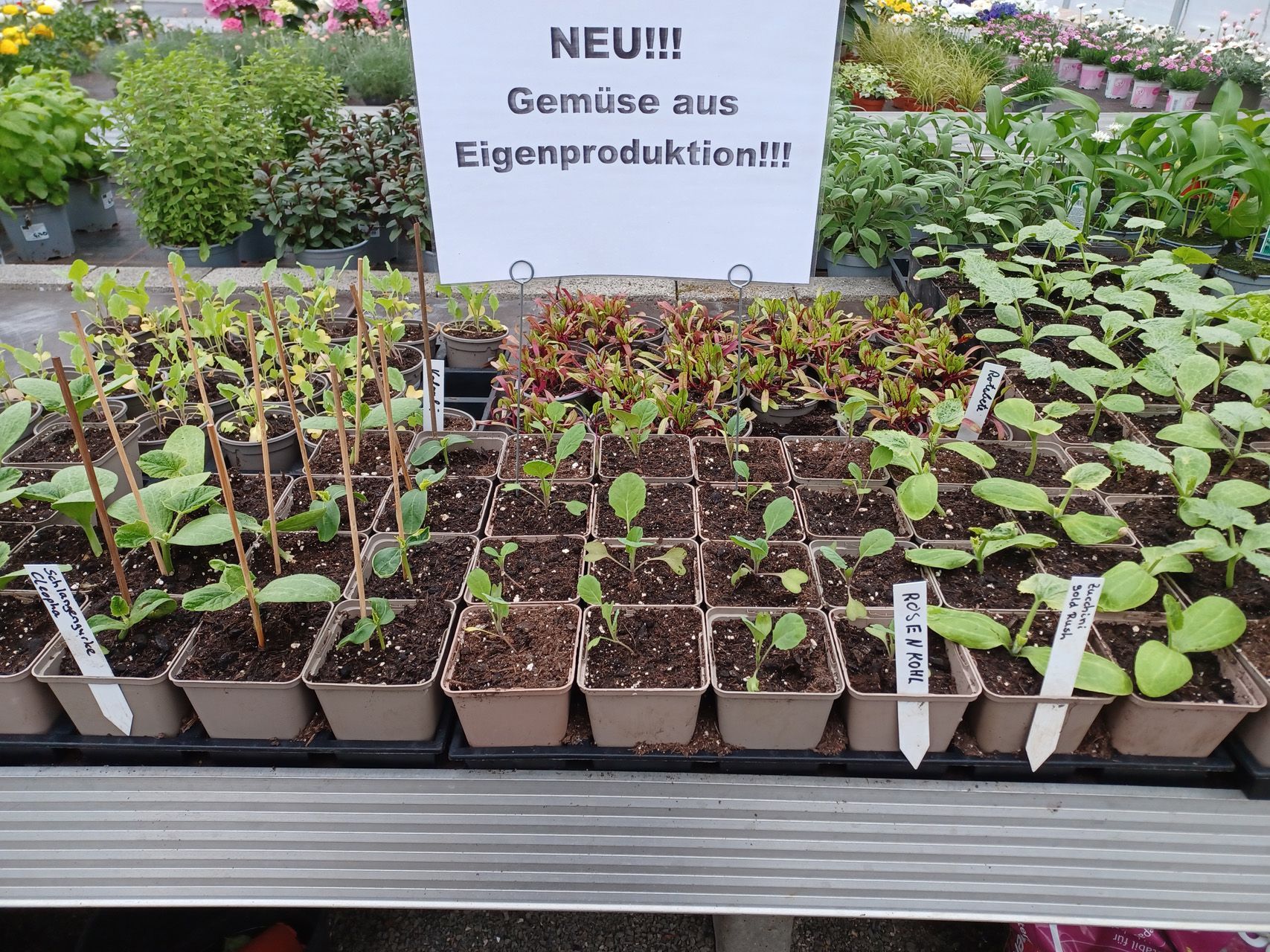 Gärtnerei Gemüse