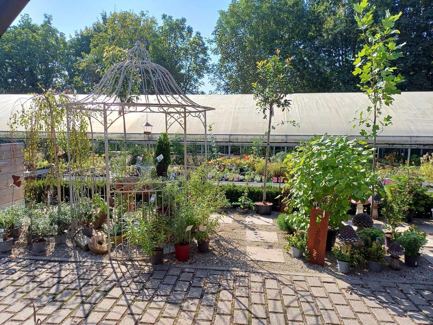 Gärtnerei Außenbereich