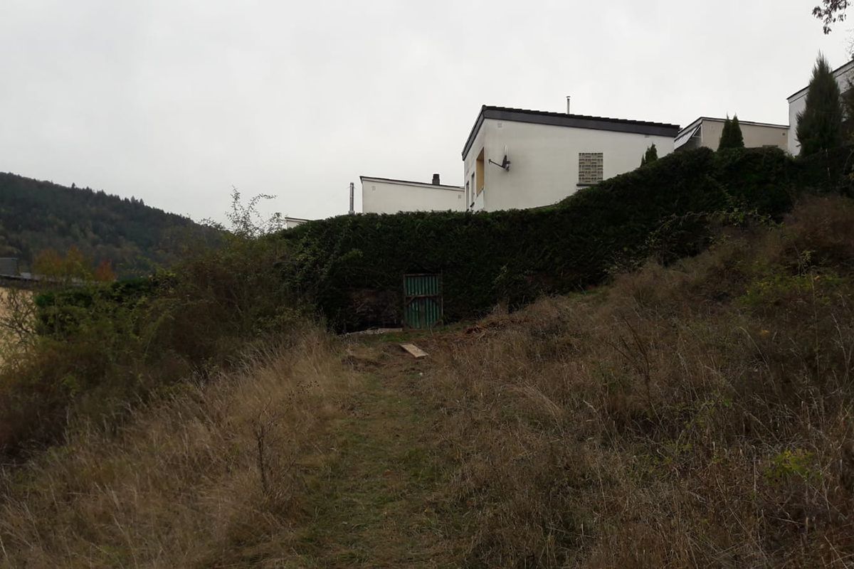 Heckenbeschnitt