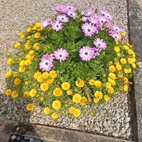 Blumengesteck