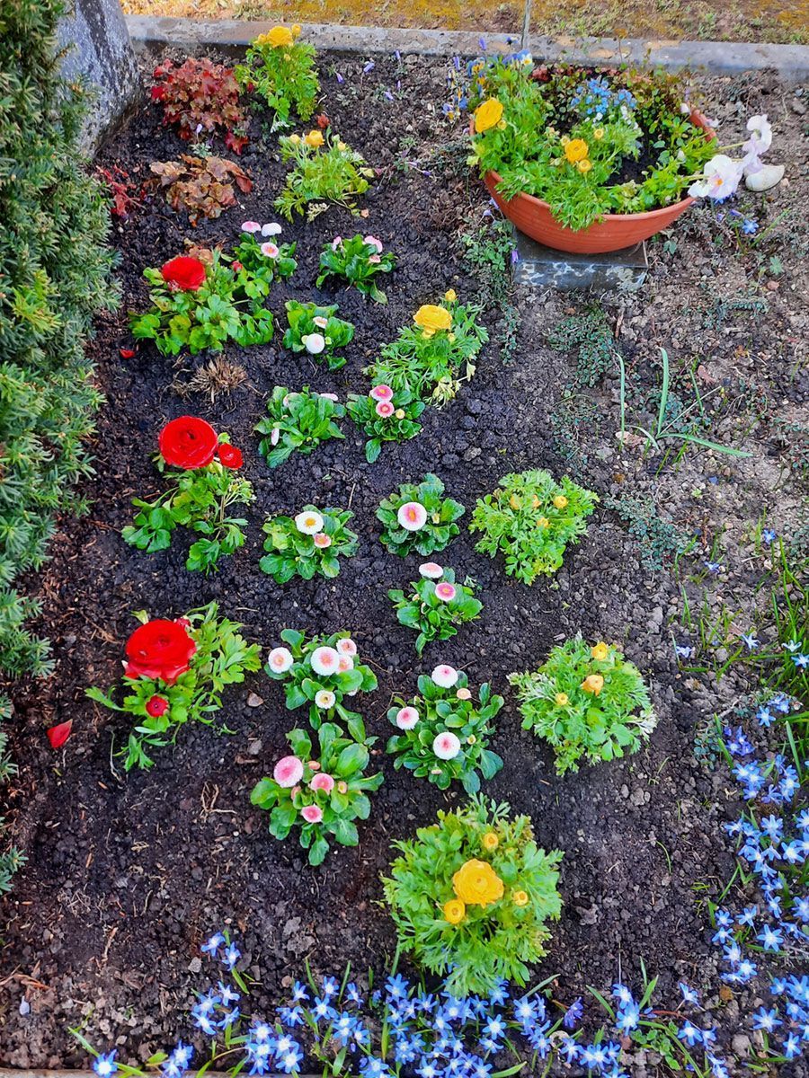 Gartenbepflanzung im Frühling