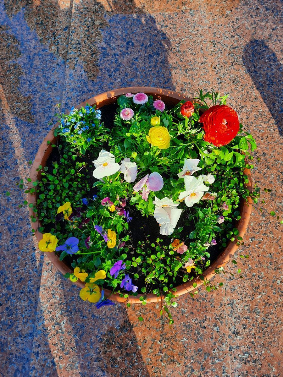 Bunte Blumenschale
