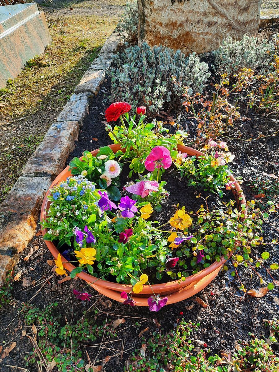 Bunte Blumenschale