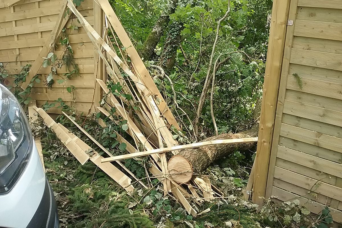 Sturmschäden Beseitigung