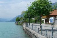 Thunersee - Hotel-Restaurant Steinbock - Brienz, Thunersee
