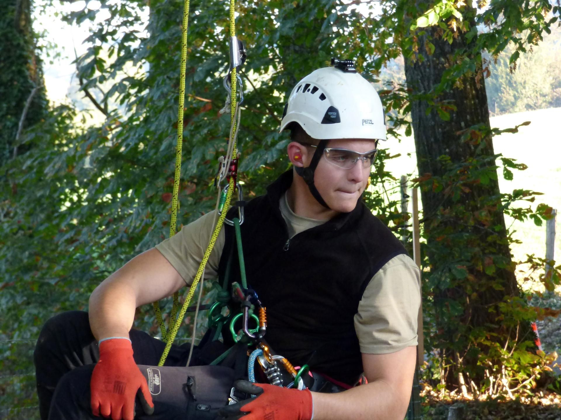 Un élagueur portant un casque blanc et des gants rouges est assis dans la canopée d'un arbre, équipée pour l'escalade.