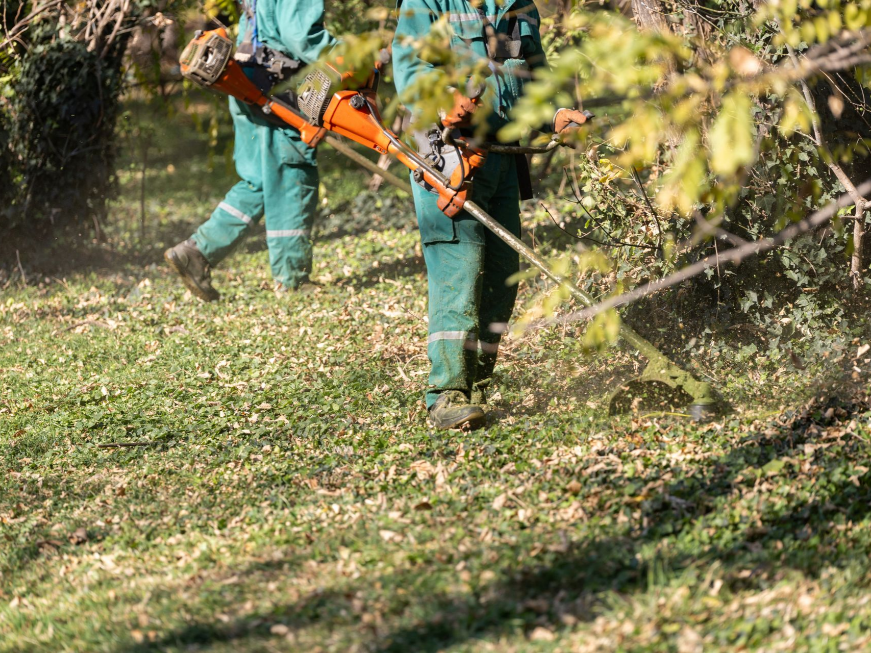 Deux ouvriers en uniforme vert utilisent des débroussailleuses dans une cour herbeuse