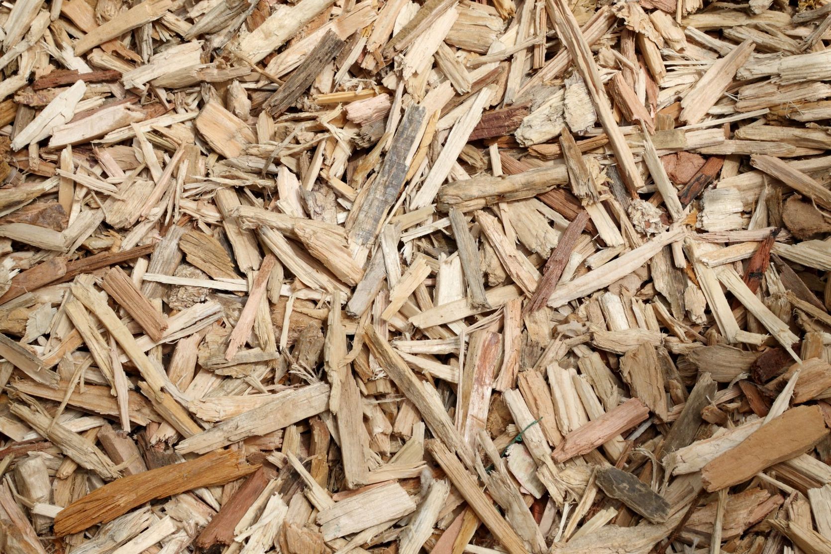 Un tas de copeaux et d'éclats de bois beige issu d'un broyage de branches