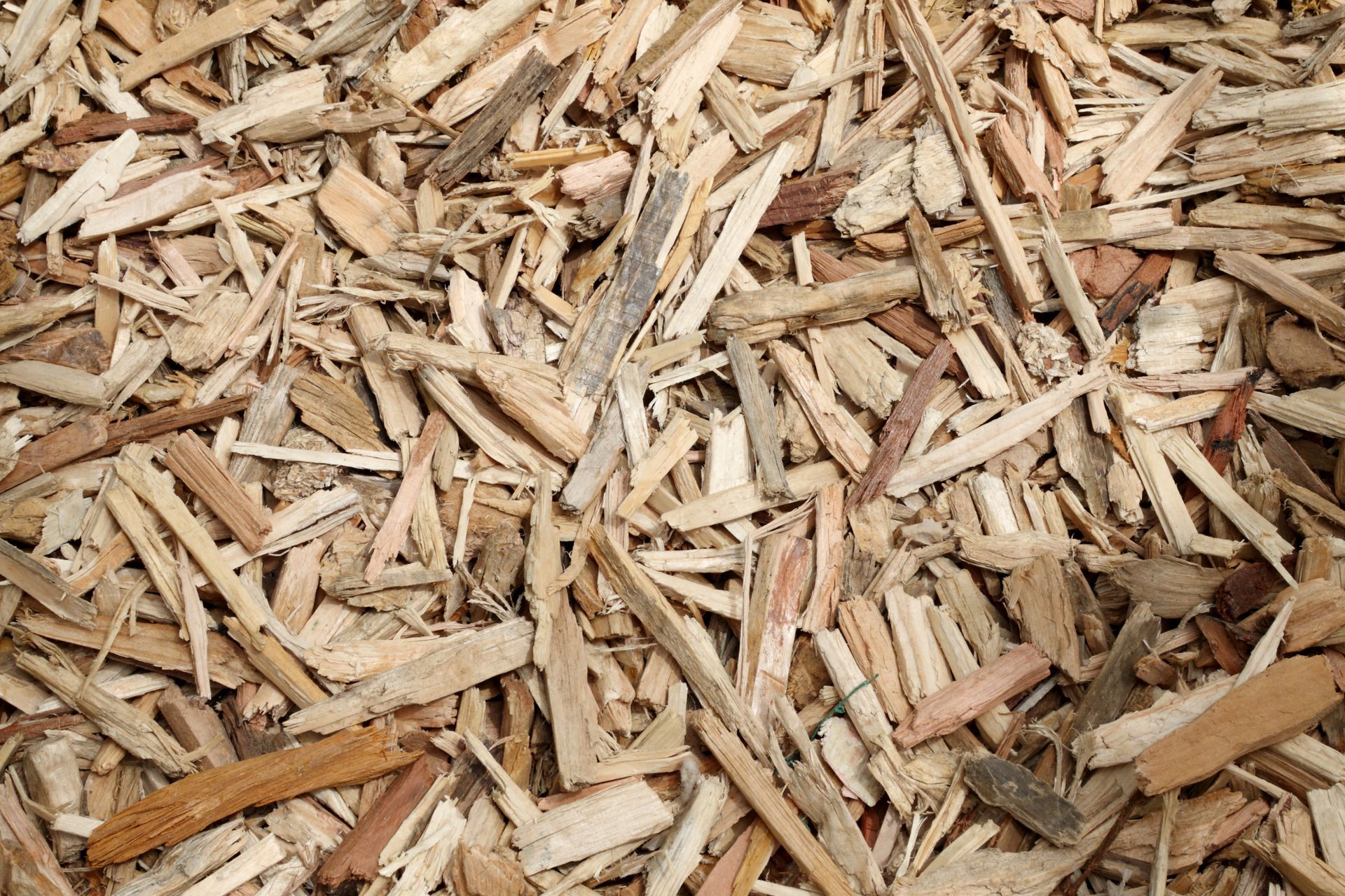 Un tas de copeaux et d'éclats de bois brun clair remplit le cadre
