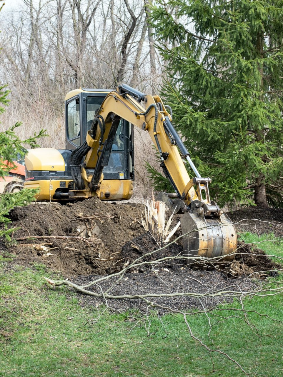 Une pelleteuse jaune déterre une grosse souche d'arbre dans un jardin herbeux bordé d'arbres dénudés.
