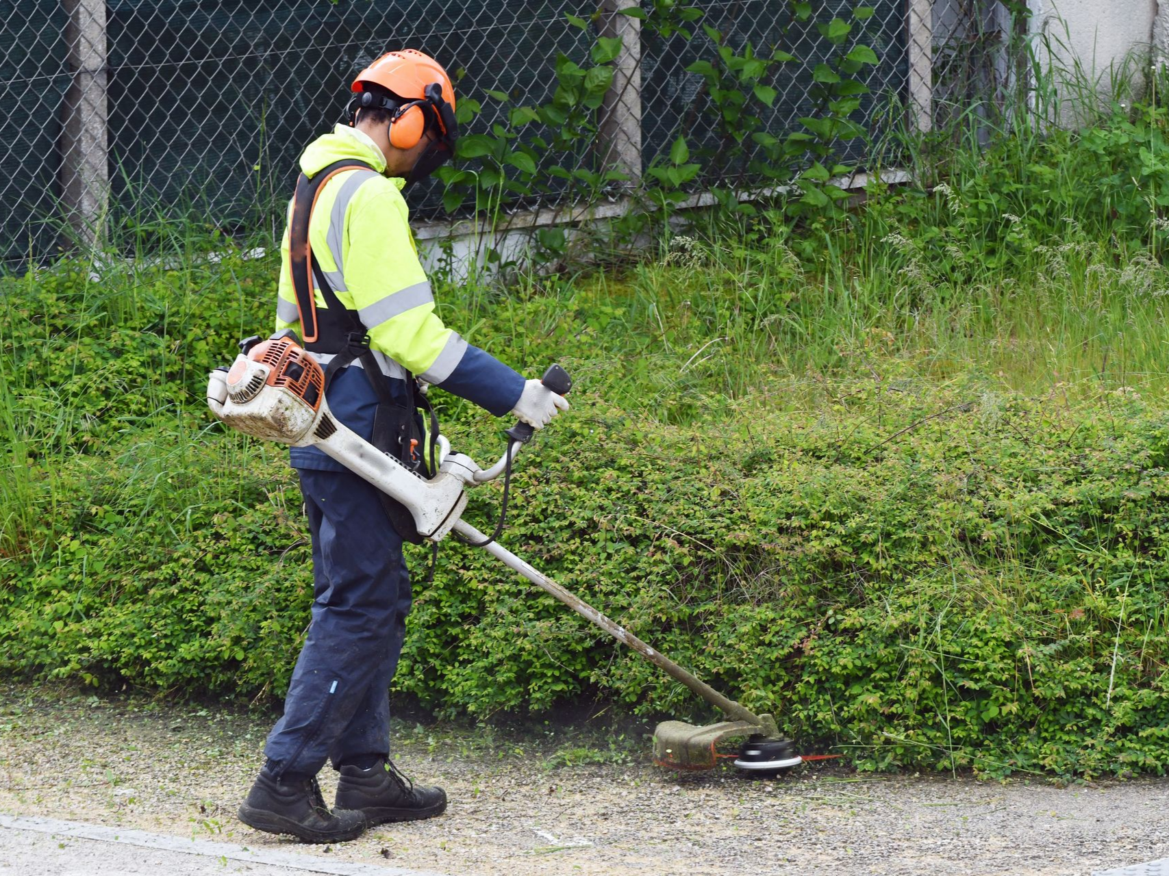 Un ouvrier portant un gilet haute visibilité utilise une débroussailleuse à essence au bord d'une route herbeuse.