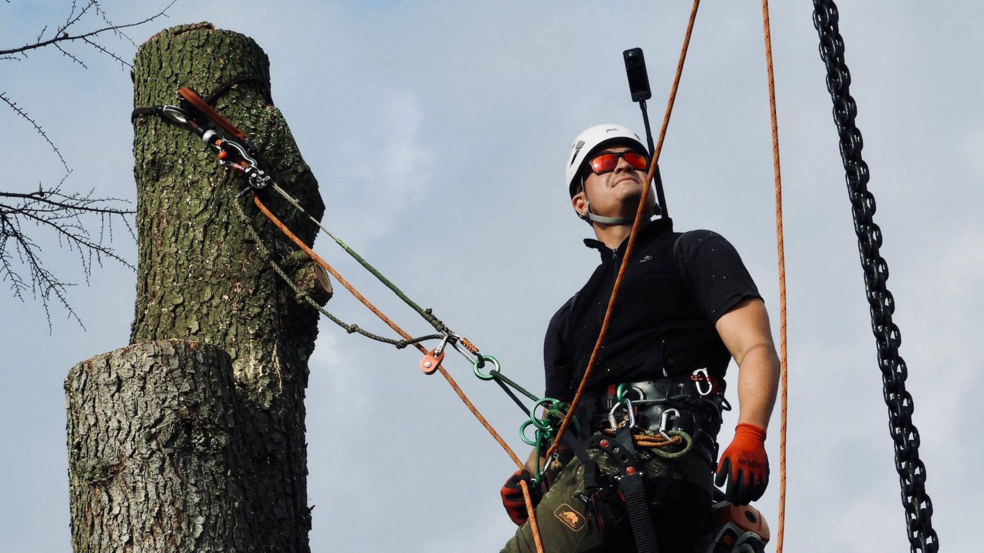 Un élagueur, casqué et harnaché, se prépare à couper un gros tronc d'arbre en extérieur.