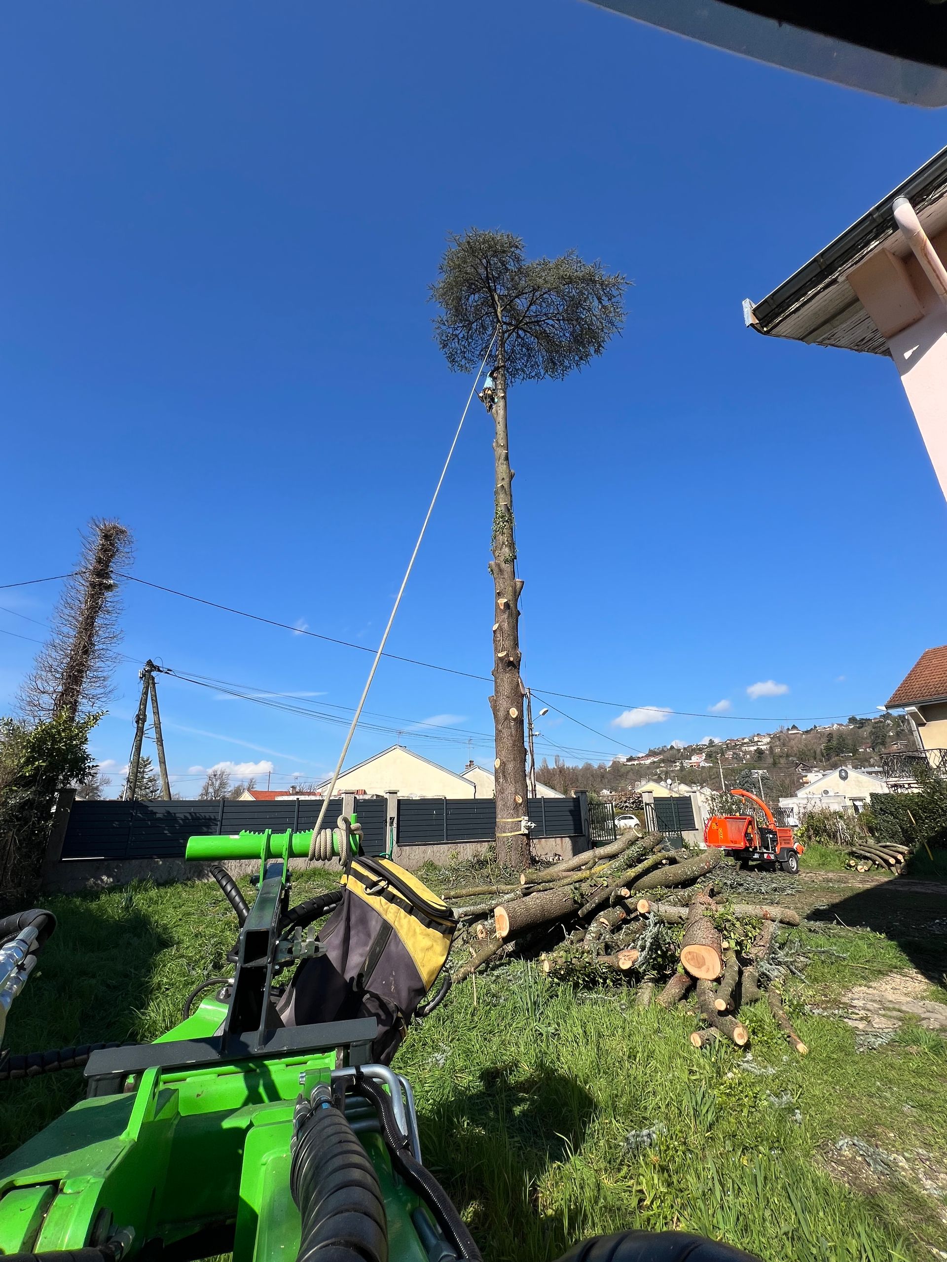 Élagage d'un arbre très haut