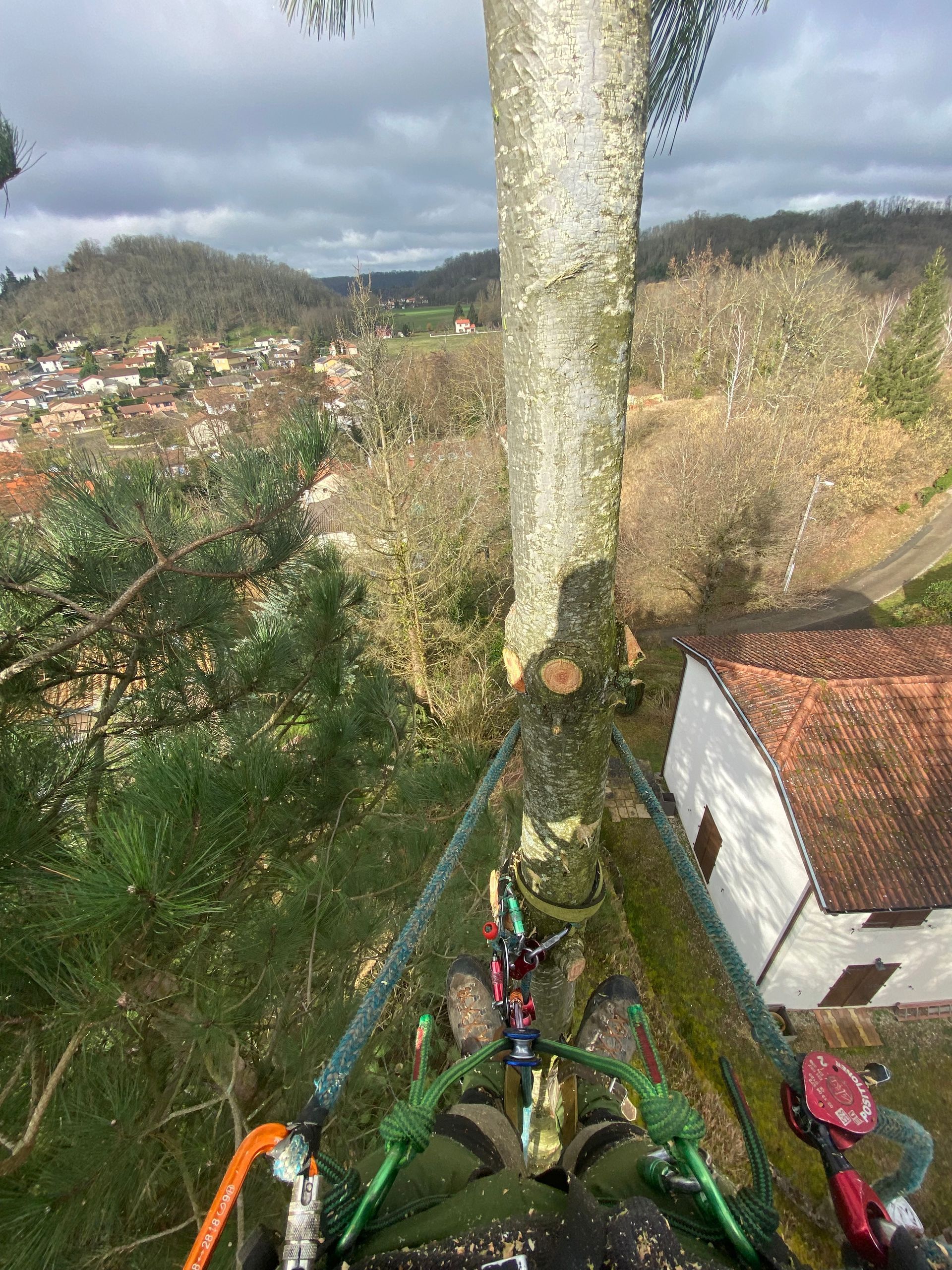 Plateforme perchée dans les arbres avec harnais de sécurité, surplombant une colline boisée et des maisons en contrebas.