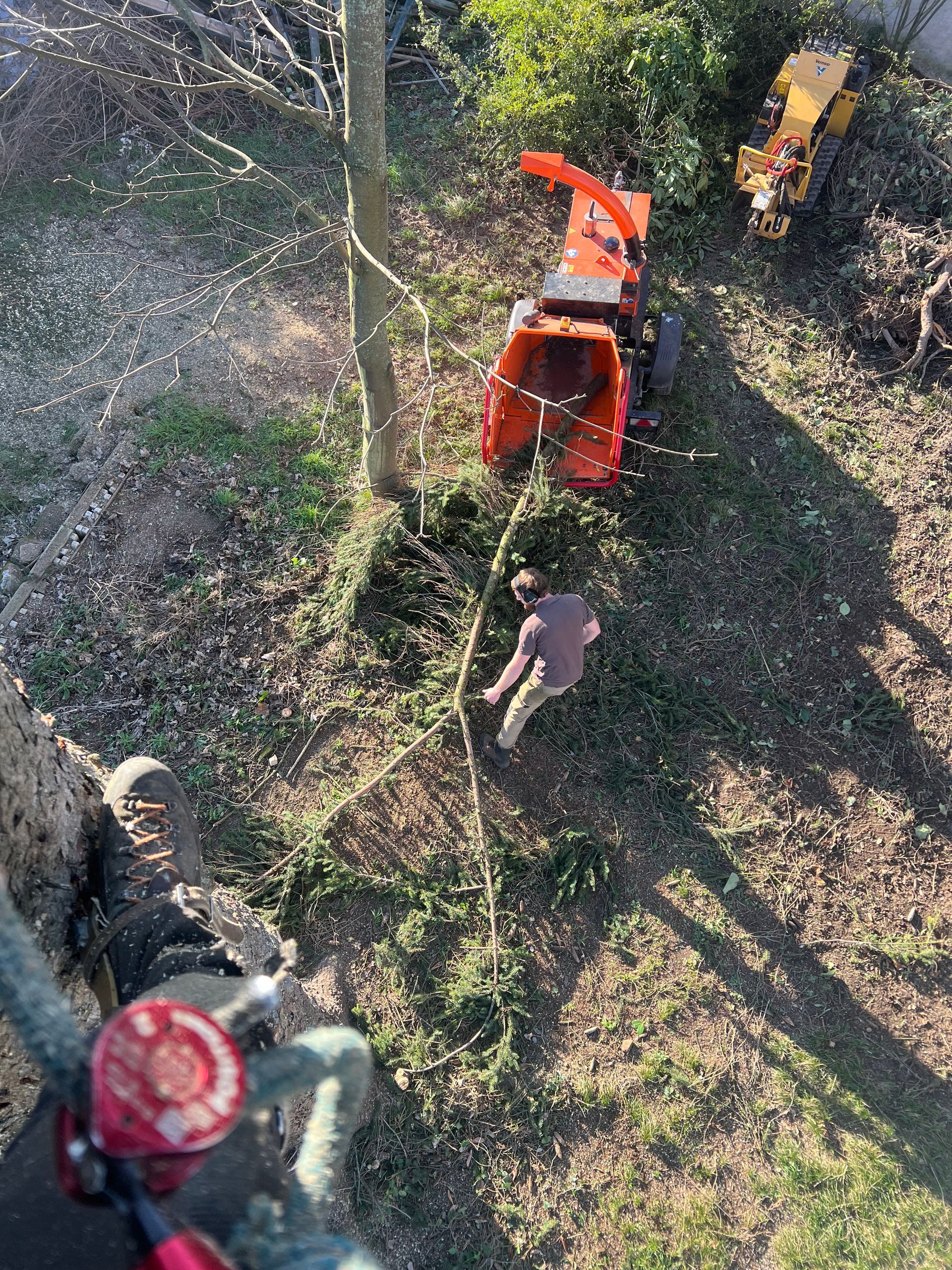 Vue aérienne d'une personne près d'un broyeur de branches d'oranger dans une zone boisée, avec une autre machine à proximité.