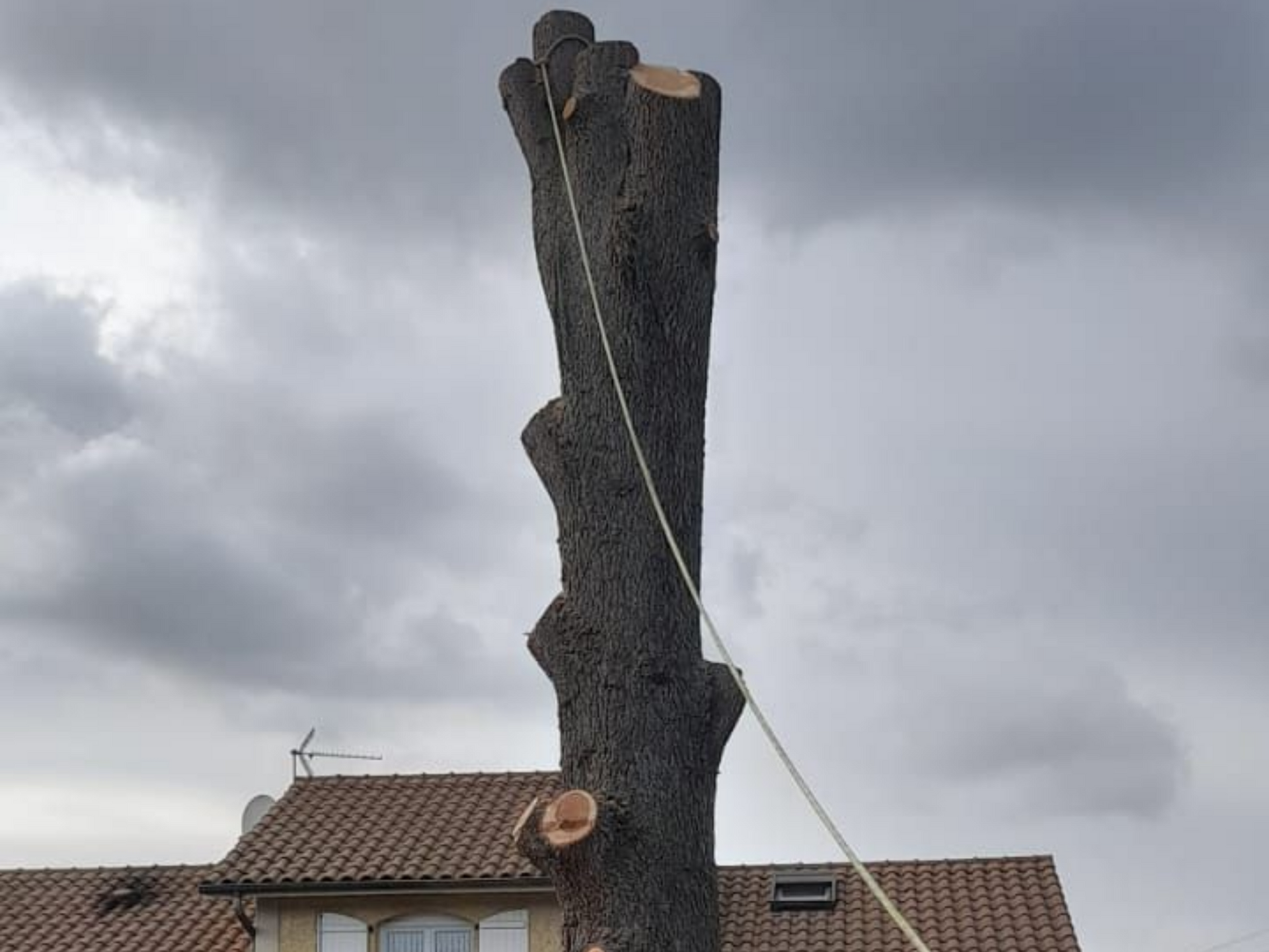 Des bûches coupées empilées dans une cour, à côté d'une haute souche d'arbre et d'une maison, sous un ciel nuageux.