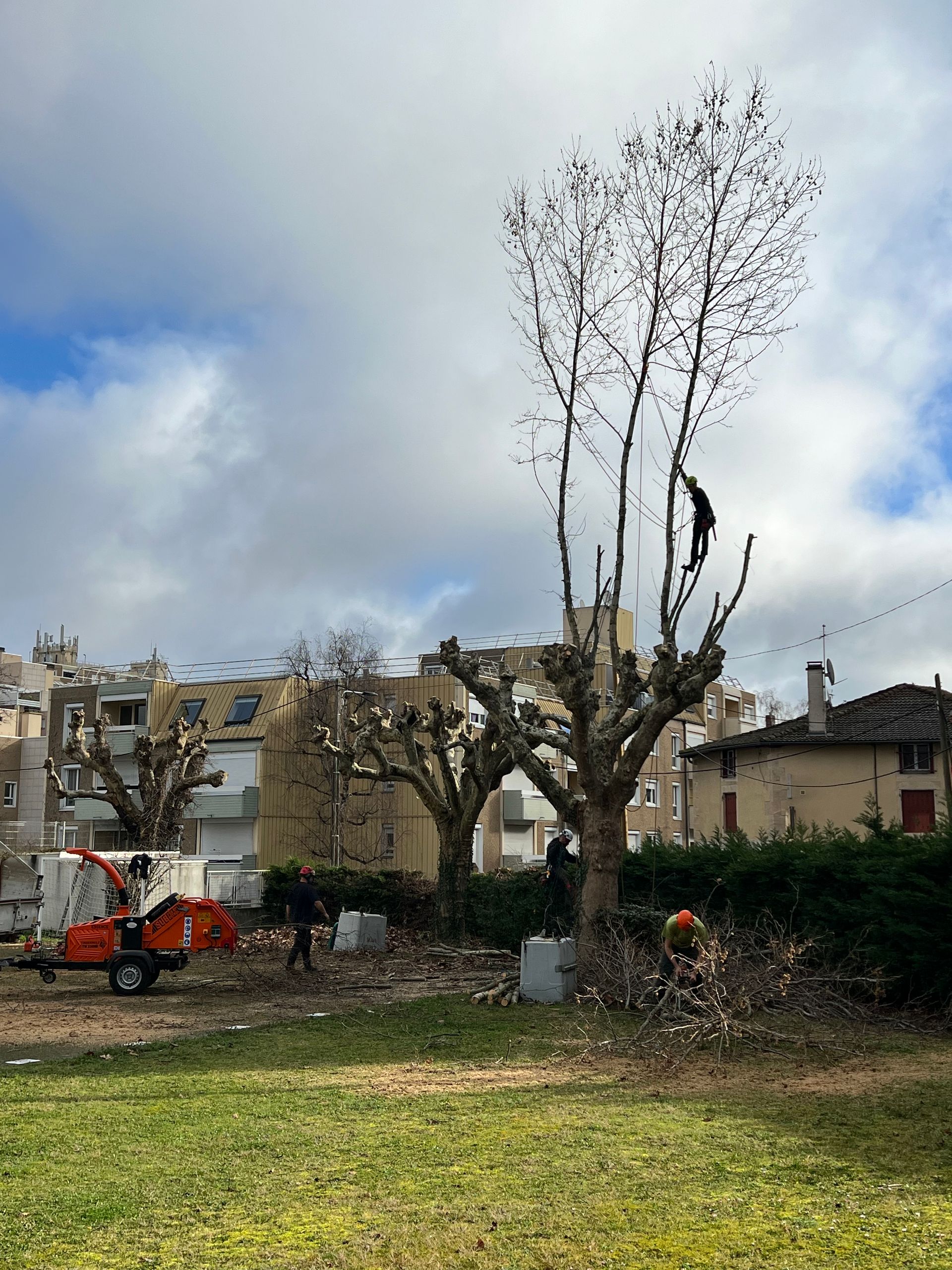 Parc avec un arbre taillé, des ouvriers et un ascenseur orange se détachant sur un ciel nuageux et des maisons