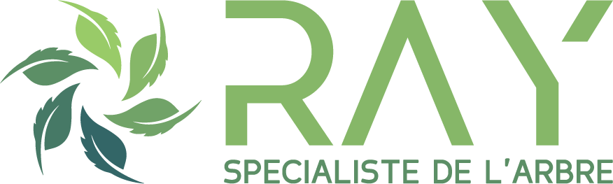 Logo entreprise Ray Sp&eacute;cialiste de l'Arbre