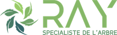 Logo entreprise Ray Sp&eacute;cialiste de l'Arbre
