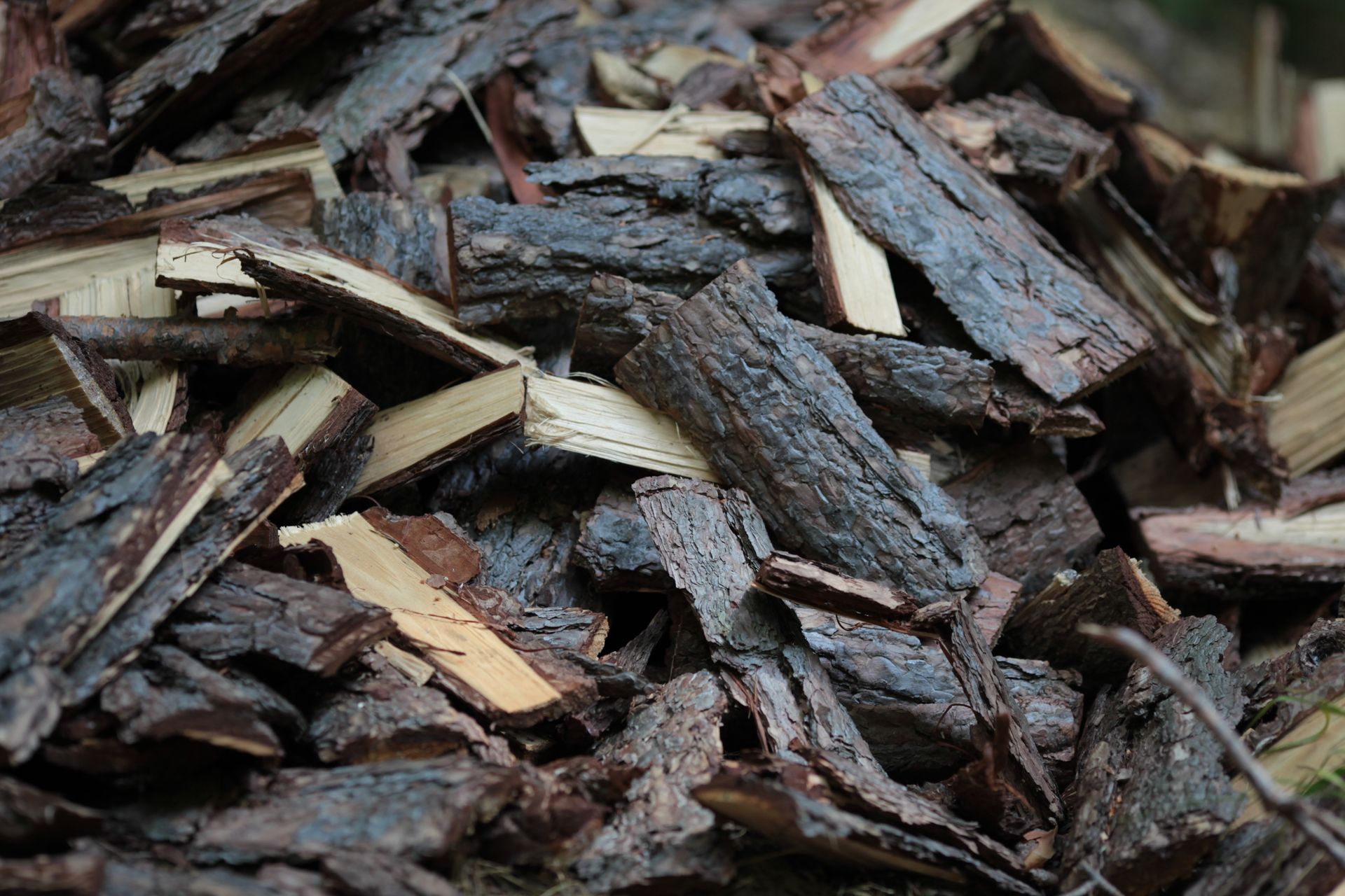 Tas de morceaux d'écorce de bois brun foncé et clair.
