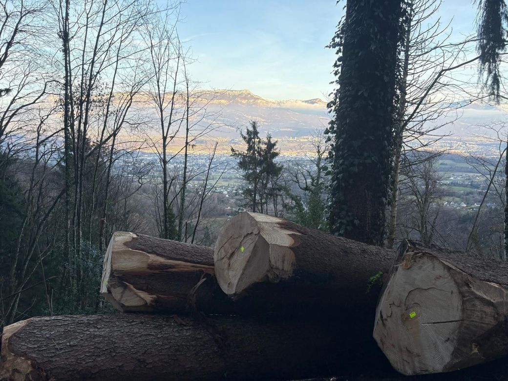 Piles de grumes avec vu sur le Nivolet
