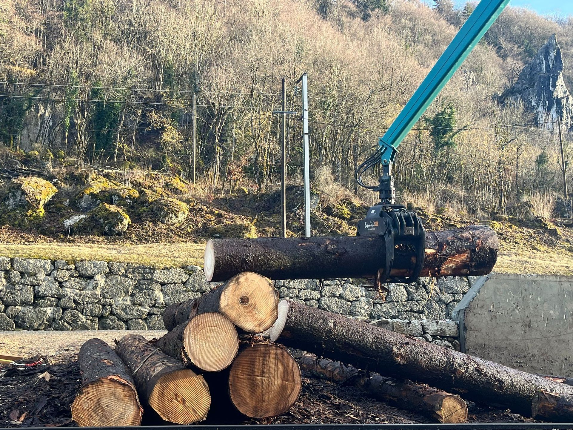 Des grumes sont déplacées par une grue mécanique dans une scierie.