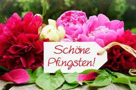 Ein Strauß rosa und roter Blumen mit einem Etikett mit der Aufschrift „Schöne Pfingsten“. Ein kleiner Vogel sitzt auf dem Ast eines Baumes mit rosa Blüten.