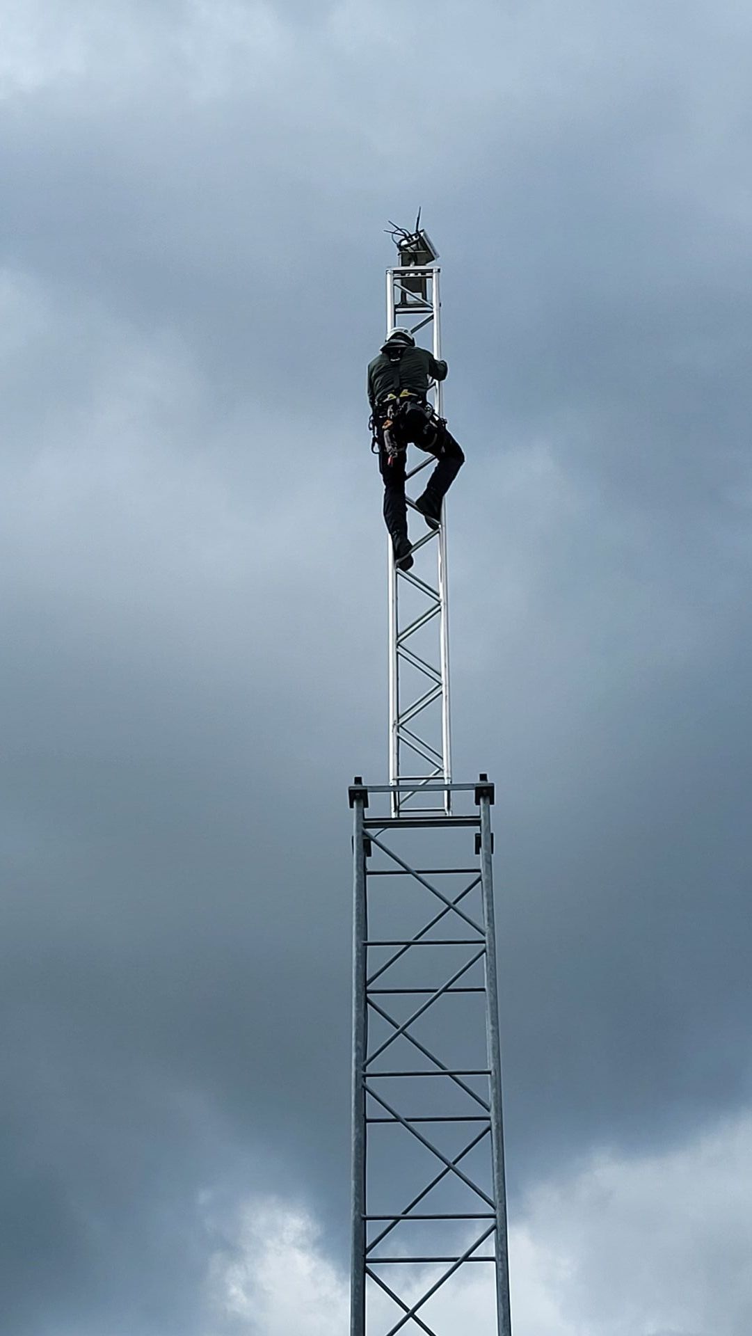 Platzhalter Referenz