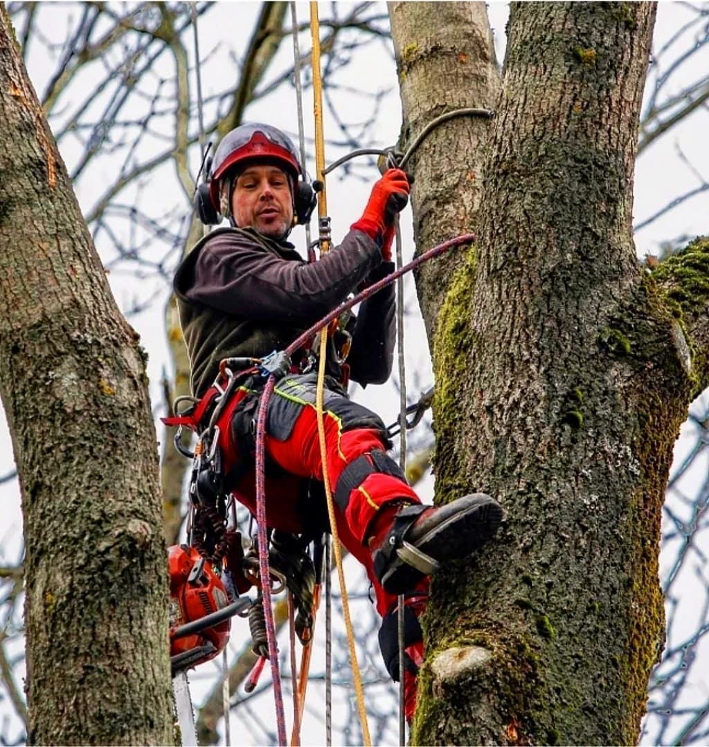 Platzhalter Referenz