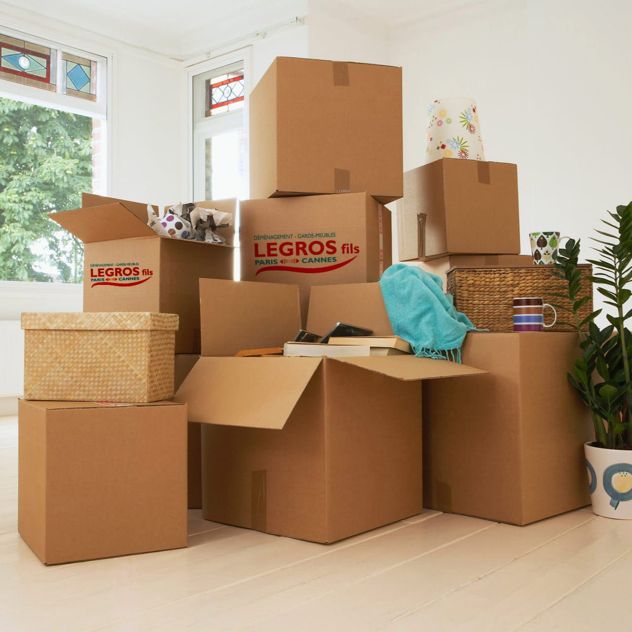 Cartons de déménagement de la société