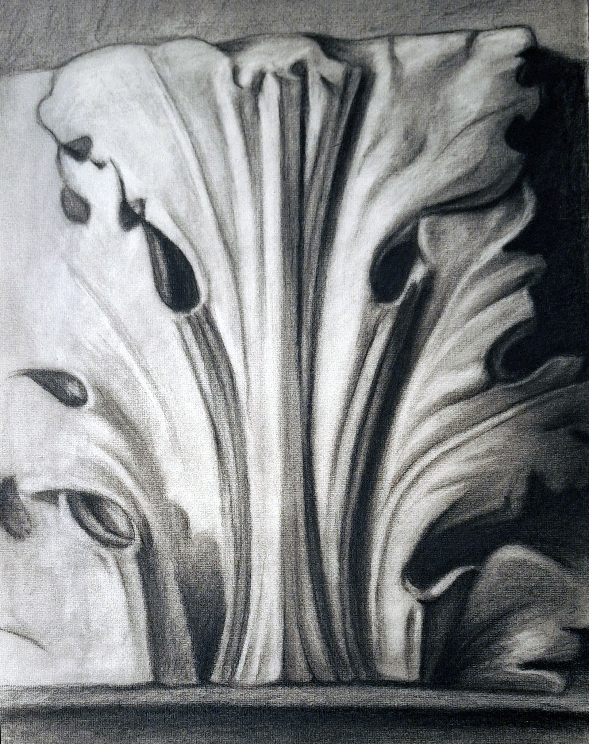 Un dibujo en blanco y negro de un objeto con forma de hoja.