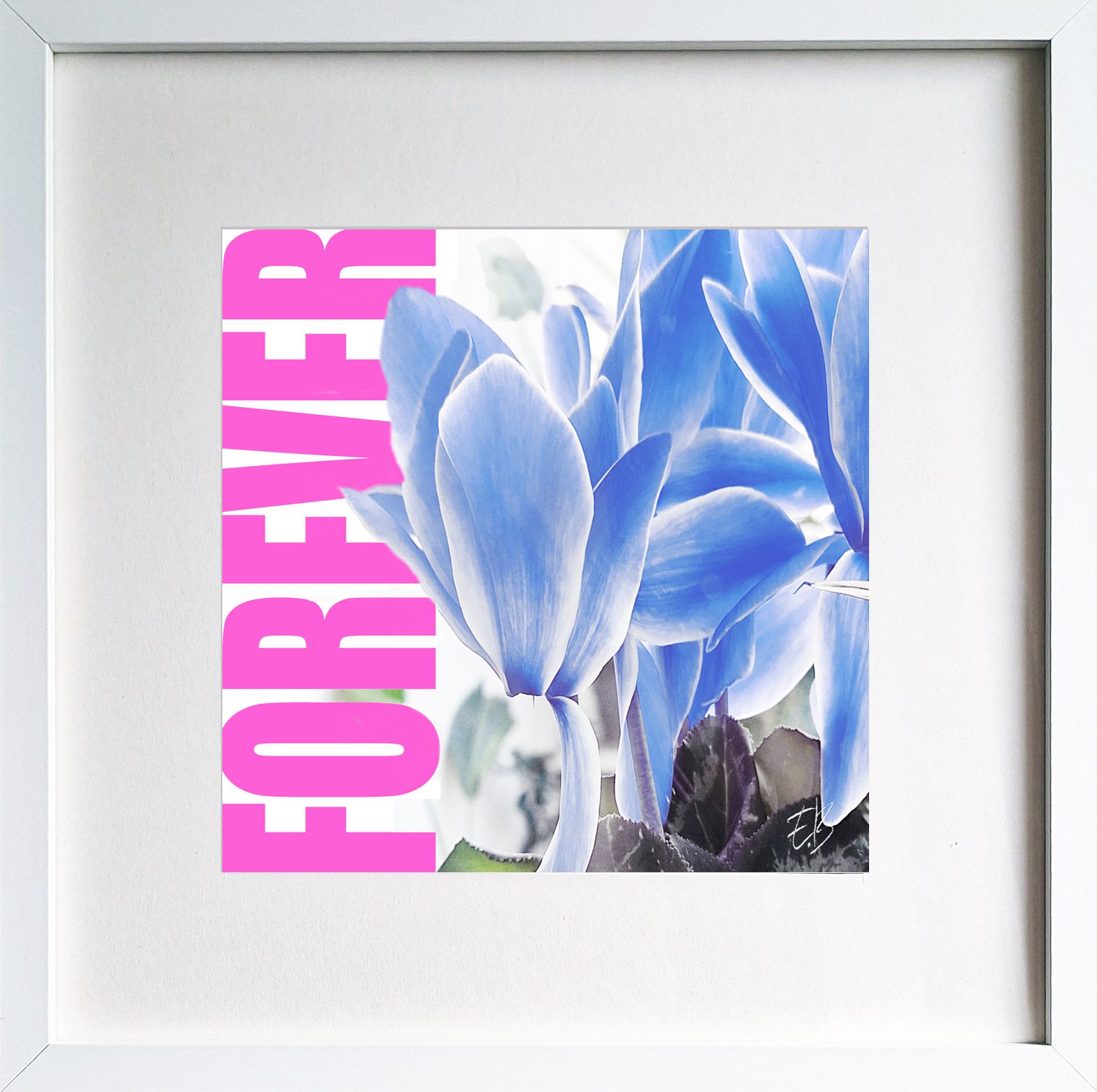 Una imagen de flores azules con la palabra 