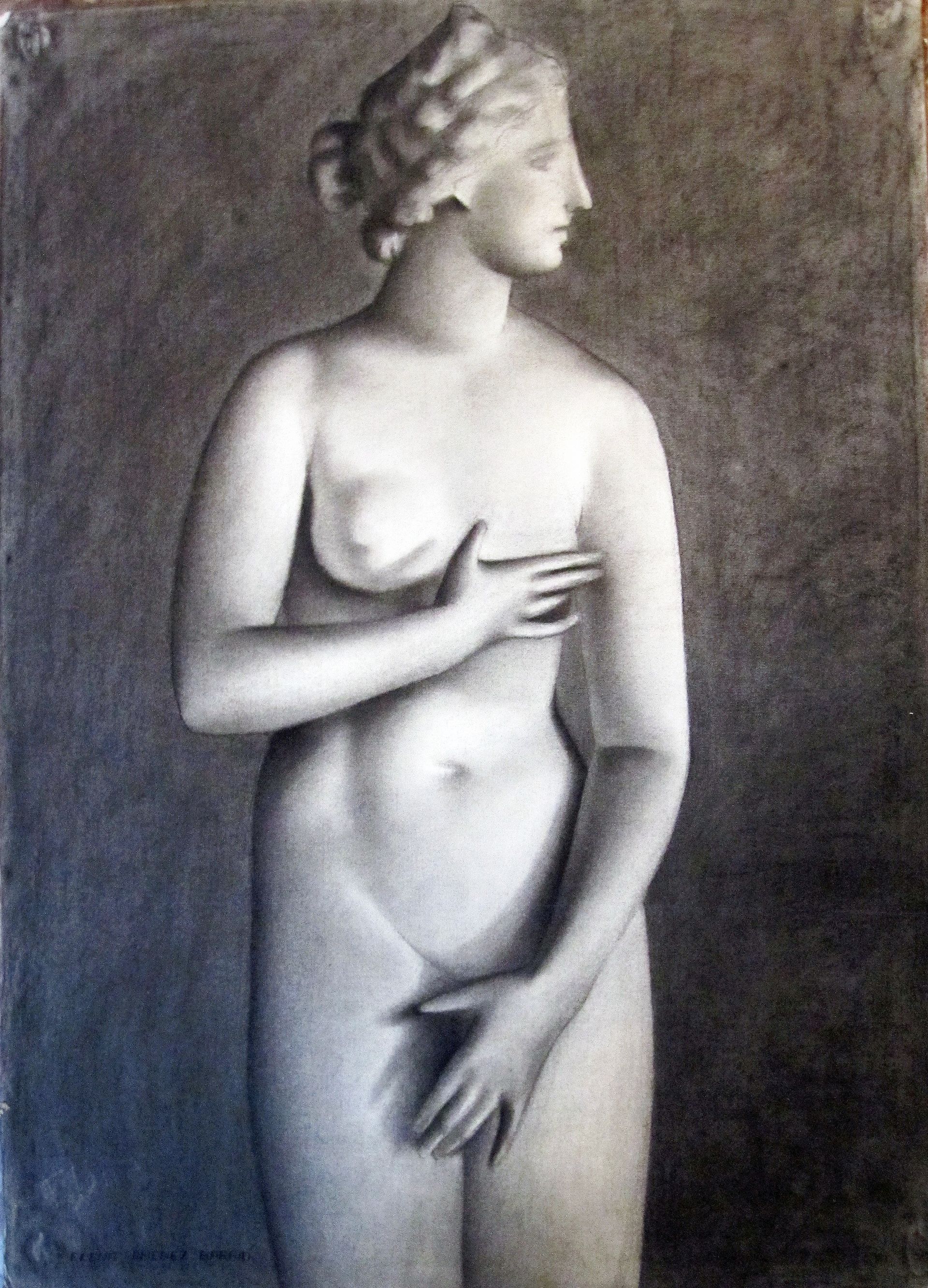 desnudo