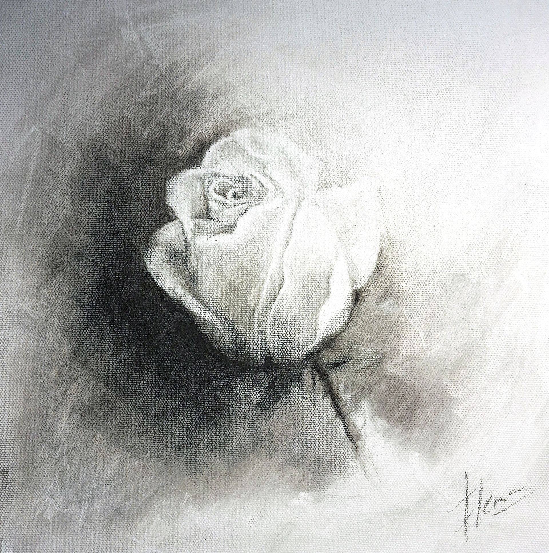 Un dibujo en blanco y negro de una rosa blanca sobre un fondo blanco.