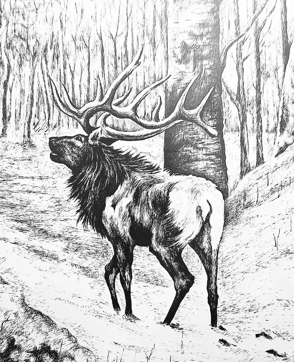 Un dibujo en blanco y negro de un ciervo en el bosque.