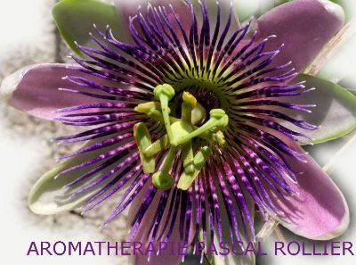 LA SANTE NATURELLE Pascal Rollier