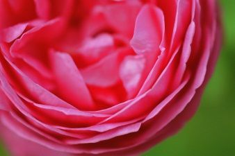 LA SANTE NATURELLE Pascal Rollier