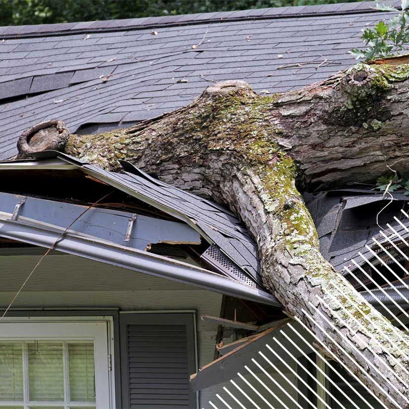 Arbre tombé sur une maison