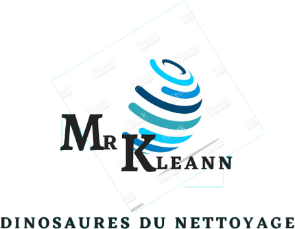 Logo Mr Kleann