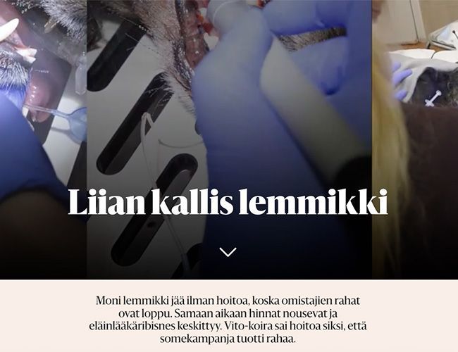 Liian kallis lemmikki